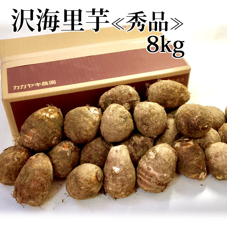 里芋 さといも 日本メーカー新品 卸し売り購入 サトイモ 8kg ねっとり 秀品 贈答用 一部地域除く ご自宅用 予約 冬ギフト 沢海里芋〔秀品〕 もっちり 送料無料