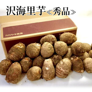 y\z˂Ƃ聕@CkGil 8kg y~Mtgzy(ꕔn揜)z