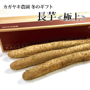 y\zkɏl 1{1.2kgȏ 3{ y~Mtgzy(ꕔn揜)z