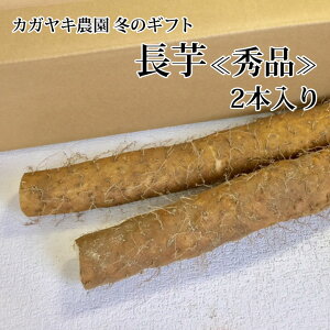 y\zkGil 2{ y~Mtgzy(ꕔn揜)z