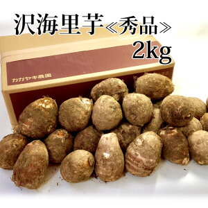 y\z˂Ƃ聕@CkGil 2kg y~Mtgzy(ꕔn揜)z