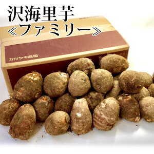 y\z˂Ƃ聕@Ckt@~[l 4kg M`LTCYy~Mtgzy(ꕔn揜)z