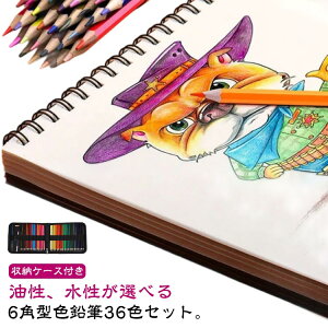  6pM c Zbg  l 36F p [P[Xt 낦҂ hG  6p w q G G 6p `₷ A[gMZbg w ރZbg ^ gѕ