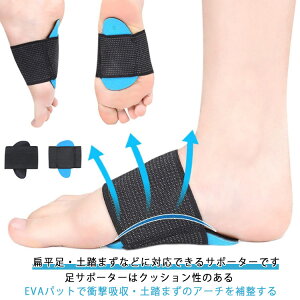 2Zbg A[`T|[^[ 4 y܂ Ε lp X|[c G΍ GT|[^[ Ε q EVA Ռz pbh ؖ Or Xr C\[ fB[X Y 