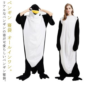 tl yM yM ѕz  uPbg yMuPbg ӂӂ  [EFA iCgEFA lp qp Q Qѕz  pW} yM