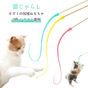 ĂSIL炵 lY~̐K ybg pi |XeBbN S3F 1 VR S L̂ Lp L XgX L̊ߋ ^sP XgXy  v[g 