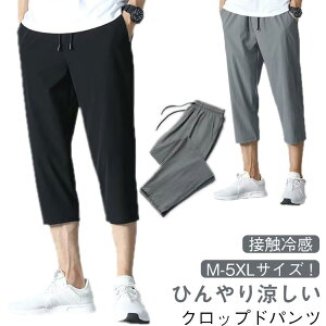 Nbvhpc ڐG⊴ Y X|[cEFA 7 n[tpc pc Zp X|[cpc C[W[pc 傫TCY z ʋC Y{ XEFbgpc ĕ 