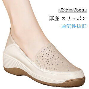 Xb|  fB[X Xb|V[Y  }}V[Y H ʋC EH[LOV[Y [t@[ C y y Xj[J[ gAbv i  t  H ɂ