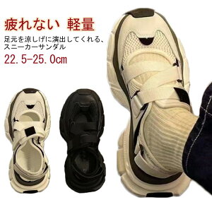 Xj[J[T_  fB[X C ₷ t [Jbg Ȃ  y T_ C Xj[J[ EH[LOV[Y ʋC RȂ ɂȂ 킢 ₷ 