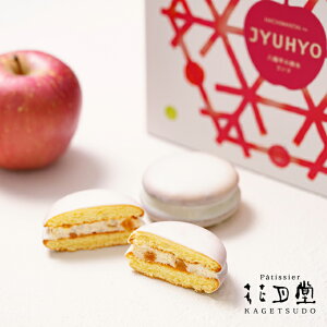 NX}X َq ̎X6 2025 v[g  }V} Ăَq XC[c yV lߍ킹 Mtg v`Mtg `R `R[g mَq  NbL[ 