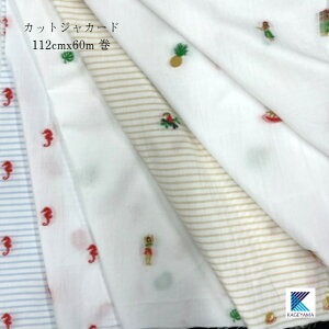 JbgWJ[h yzyƖpnz 100% { 150m ܂Ƃߔ@y̔zꔽ dBD@D yzi @Vc uEX t@bV