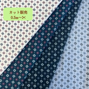 30/1rGvgH @100%y݌Ɍz S4F110cmx50cm ̉iłi@