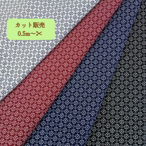50/1avgH @100%y݌Ɍz S4F110cmx50cm ̉iłi@