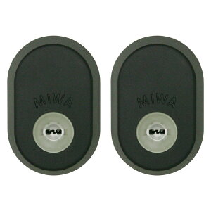 OA~/Vy MIWA GAF+FEp L[2Zbg (ubN)