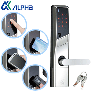 y|Cg5{z12/420ALPHAAt@ edbNPLUSWS200-01 (MIWA a 85RA^Cvp)Ή35`40 abN Vo[F{iɃo[ƃP[X͕tĂ܂AXy[VO80mmA