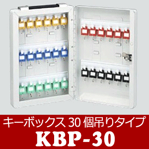 y|Cg5{z12/420L[{bNX KBP-30 (iteck/Hikari) 30݂^Cv L[2{t