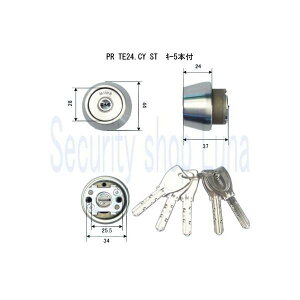 ���a���b�N�@PRTE24�V�����_�[�@�X�e�����X�w���[���C���F�@PR TE24�DCY�@ST�@����5�{