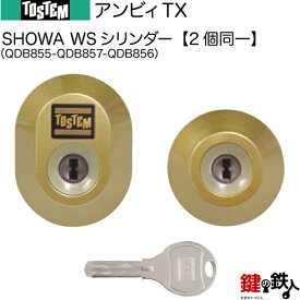 【33-E】アンビィTX（QDB855-QDB857-QDB856）トステム TOSTEM(=現 リクシル LIXIL) 玄関 鍵(カギ) 交換 取替え用WSシリンダー 二個同一キーシリンダー■標準キー5本付き■【送料無料】