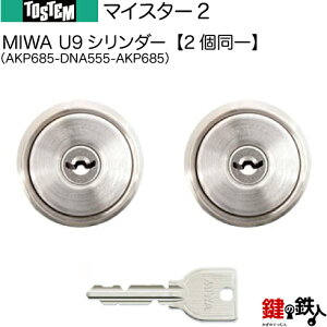 y96-Bz}CX^[2iAKP685-DNA555-AKP685jgXe TOSTEM(= NV LIXIL) ̌(JM)  ւpMIWA U9V_[L[V_[dlWL[3{tyz