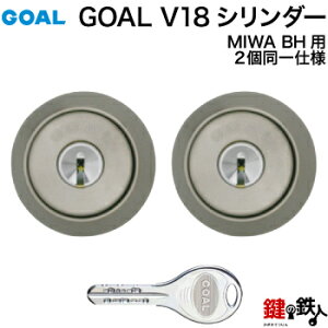 GOAL V18 BHp  (JM)  ւV_[(MIWA DZ(BH LD LDSP)pV_[)2L[V_[dlWL[6{tyz