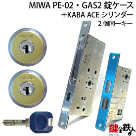 MIWA PE-02、GAS2 交換用KABA ACE(カバエース)LIX(TE0)タイプ■横向きカム仕様■標準キー6本付き■色＝シルバー・ゴールド■2個同一キーセットと、MIWA PE-02とGAS2の錠ケースの交換■左右共用タイプ【送料無料】