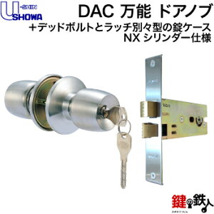 y5z[VEVESHOWA NX-DAC \   (JM)  ւpʍ+fbh{gƃb`ʁX^̏P[XZbghǍ 25mm`43mmobNZbg100mmWL[3{t