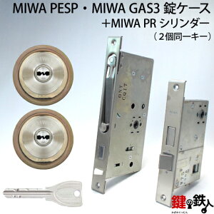 MIWA PESPAGAS3 pPRV_[LIX(TE0)^CvJdlWL[6{tVo[F2L[ZbgMIWA PESPƁAGAS3̏P[X̌Ep^Cvyz