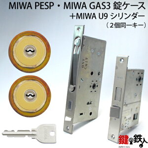 MIWA PESPAGAS3 pU9V_[LIX(TE0)^CvJdlWL[6{tS[hF2L[ZbgƁAMIWA PESPGAS3̏P[X̌Ep^Cvyz