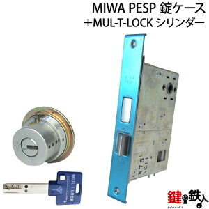 MIWA PESP �����pMUL-T-LOCK�V�����_�[LIX(TE0)�^�C�v��1�̃V�����_�[���������J���d�l���W���L�[3�{���V���o�[�F�܂��̓S�[���h�F���V�����_�[1�ƁAMIWA PESP�̏��P�[�X�̌��������E���p�^�C�v