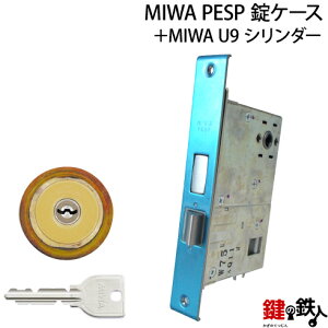 MIWA PESP pU9V_[LIX(TE0)^Cv1̃V_[JdlWL[3{tS[hFV_[1ƁAMIWA PESPP[X̌Ep^Cvyz