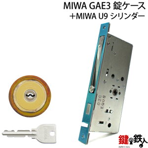 MIWA GAE3 pU9V_[LIX(TE0)^Cv1̃V_[WL[3{tS[hFV_[1ƁAMIWA GAE3P[X̌Ep^Cvyz