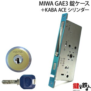 MIWA GAE3 pKABA ACE(JoG[X)LIX(TE0)^Cv1̃V_[WL[3{tVo[F܂̓S[hFV_[1ƁAMIWA GAE3̏P[X̌Ep^Cvyz