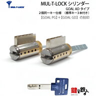 《2》GOAL PG+GD 玄関 鍵(カギ) 交換 取替え用ハイセキュリティシリンダーMUL-T-LOCK(マルティカード付)=…
