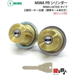 MIWA PE-02�AGAS2 �����pPR�V�����_�[LIX(TE0)�^�C�v���c�����J���d�l���W���L�[6�{�t�����S�[���h�F��2����L�[�Z�b�g�y���������z