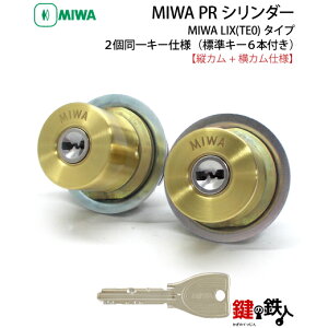 �y1�zMIWA PESP��MIWA GAS3�̌����pPR�V�����_�[LIX(TE0)�^�C�v(�c�J���Ɖ��J��)���f�B���v���L�[���L�[6�{�t�����S�[���h�F�����E���p�^�C�v��2����L�[�Z�b�g�y���������z