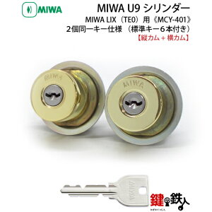 �y2�zMIWA PESP��MIWA GAS3�̌����pU9�V�����_�[LIX(TE0)�^�C�v(�c�J���Ɖ��J��)���L�[6�{�t�����S�[���h�F�����E���p�^�C�v��2����L�[�Z�b�g�y���������z