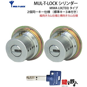�y5�zMIWA PESP��MIWA GAS3�̌����pMUL-T-LOCK(�}���e�B���b�N)LIX(TE0)�^�C�v(�c�J���Ɖ��J��)���f�B���v���L�[���L�[3�{�t�����V���o�[�F�A�܂��̓S�[���h�F��2����L�[�Z�b�g�����E���p�^�C�v�y