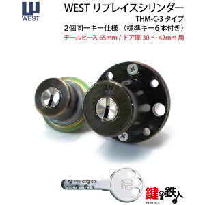 s5tWESTvCXV_[uTHM-C-3^Cvvp (JM)  ւpV_[ÔFye[s[X65mmz2L[^Cv@WL[6{thA30`42mmpy