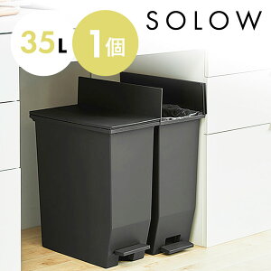 S~ ݔ SOLOW \E 35bg 35L  ubN  ӂt W y_I[vcC y_t Vv I JE^[ Lb`  rO RpNg J X
