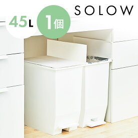 【10%OFF対象】ゴミ箱 ごみ箱 SOLOW ソロウ 45リットル 45L おしゃれ ホワイト 白 ふた付き 蓋つき ペダルオープンツイン ペダル付き シンプル 棚下 カウンター下 キッチン 分別 リビング コンパクト 両開き スリム 四角 RSD-78WH 単品