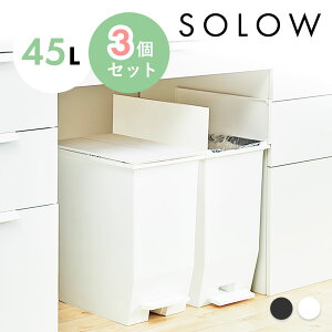 S~ ݔ SOLOW \E 45bg 45L 3Zbg  ӂt W  3 3_ y_I[vcC zCg ubN y_ Vv I JE^[ Lb` RpNg