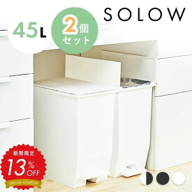 【13%OFF対象】ゴミ箱 ごみ箱 SOLOW ソロウ 45リットル 45L 2個セット 2個 おしゃれ ふた付き 蓋つき 分別 ペダルオープンツイン ホワイト ブラック ペダル シンプル 棚下 カウンター下 キッチン リビング コンパクト 両開き スリム RSD-78