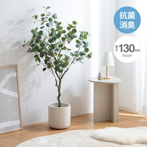 y10%OFFΏہzG} lHϗtA tFCNO[  [J 130cm ^ sv L RECX hEzAfqh  eiXsv  fBXvC 