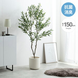 y10%OFFΏہzG} lHϗtA tFCNO[  I[u 150cm ^ sv L RECX hEzAfqh  eiXsv  fBXvC 