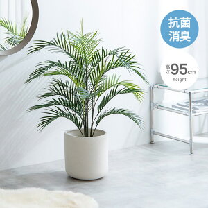 yXő1000~OFFPő4{IzG} lHϗtA tFCNO[  AJV 95cm sv L RECX hEzAfqh  eiXsv 