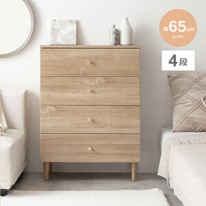 y10%OFFΏہI119܂Łz`FXg Lrlbg RpNg bN [I t [ 65cm  k l炵 V Vv i`
