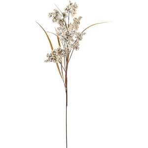 y10%OFF{Pő4{IzOx[[tXv[ CeA  G G  IV zakka