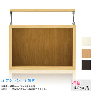 ǉIvVFuI (44cmbNp) ubN [I cbp ˂胉bN ǖʎ[ ς胉bN ˒[ [bN V[YƋȊOɂ͎gpo܂B