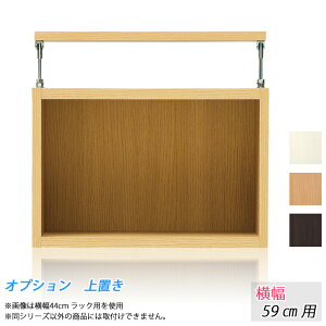 ǉIvVFuI (59cmbNp) ubN [I cbp ˂胉bN ǖʎ[ ς胉bN ˒[ [bN V[YƋȊOɂ͎gpo܂B