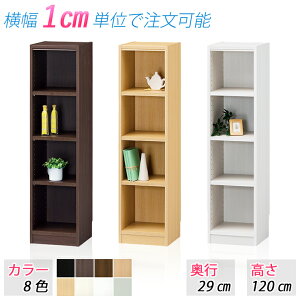 IׂTCY bN (120cm s29cm 15`34cm) [I I[vbN {I ubNbN I ԉƋ Ԏ[ J[{bNX VFt bN I  TCYύX TCYI[